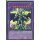 Yu-Gi-Oh! DRL3-DE055 Timaeus der Schicksalsritter 1.Auflage Ultra Rare