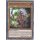 Yu-Gi-Oh! LDS1-DE022 Amazonische Prinzessin 1.Auflage Common