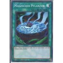 Yu-Gi-Oh! SHVA-DE055 Magischer Pflanzer 1.Auflage Super Rare